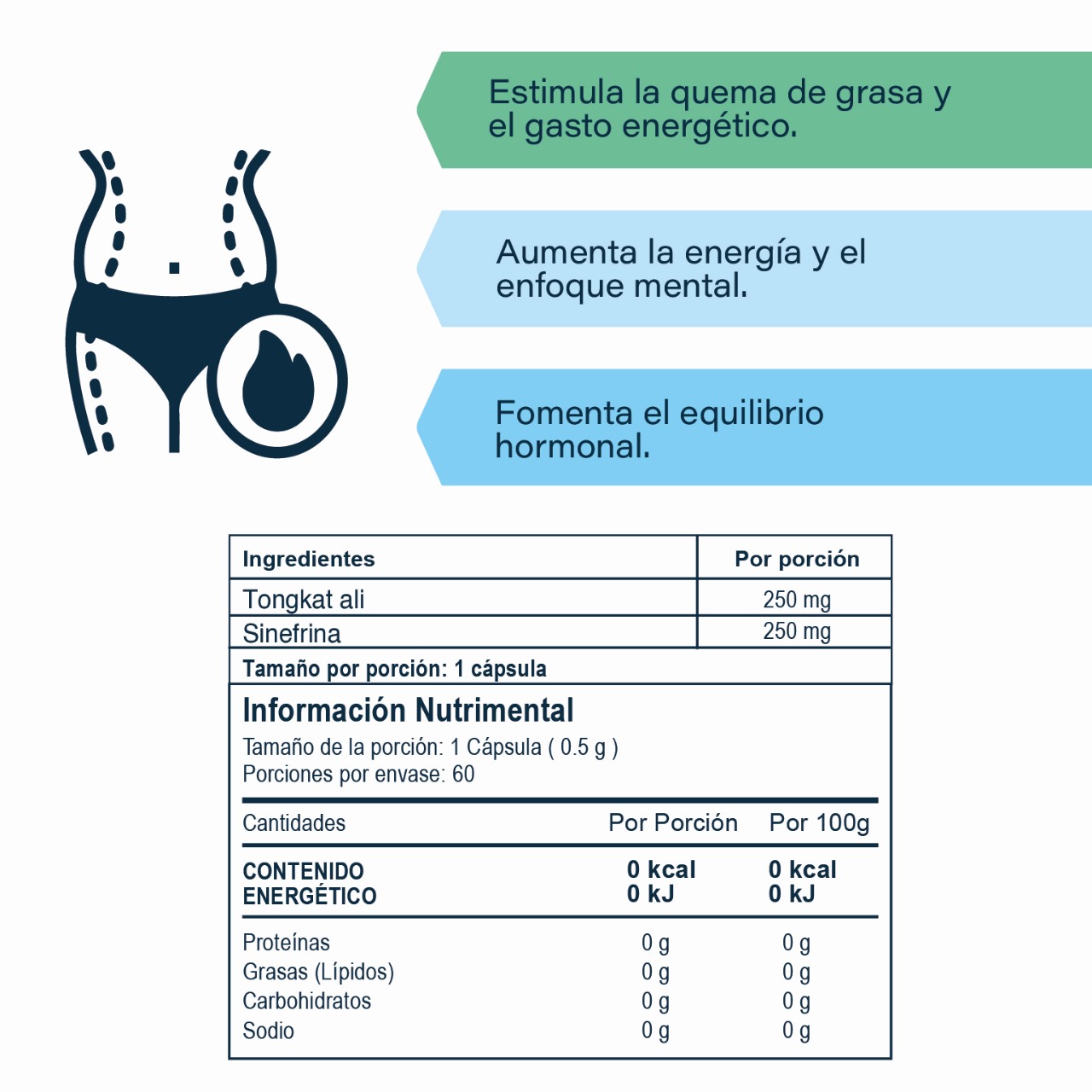 Thermo Plus - Imagen 2